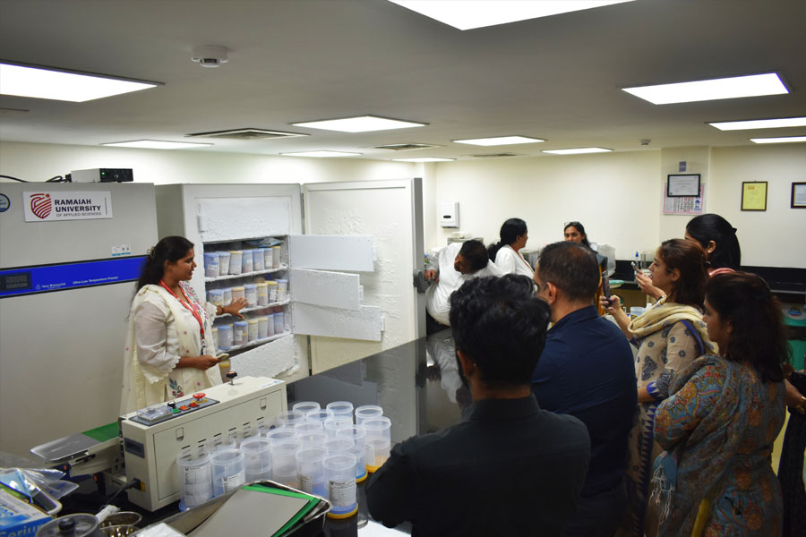 Laboratory Analysis