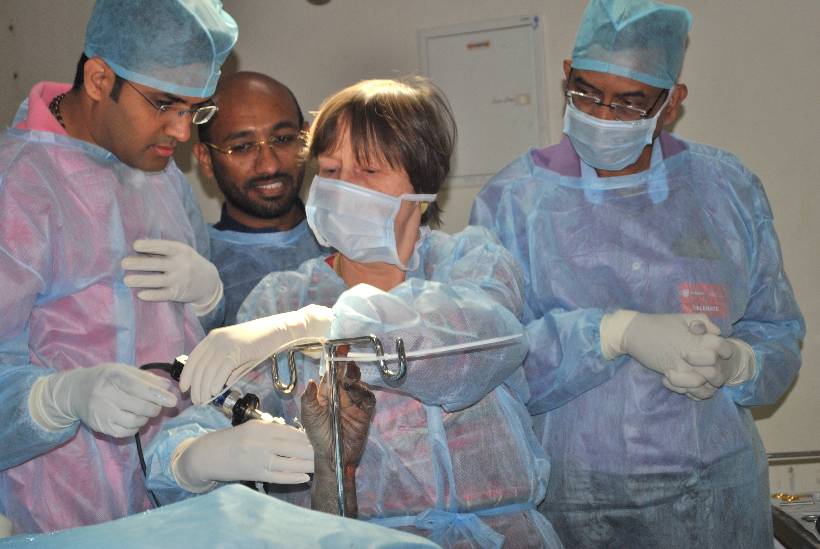 Wrist Arthroscopy Course - 23rd, 24th Feb 2018.
