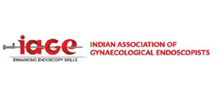 Academic Partner 3